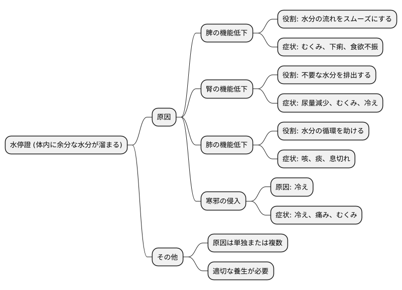 水停證の原因