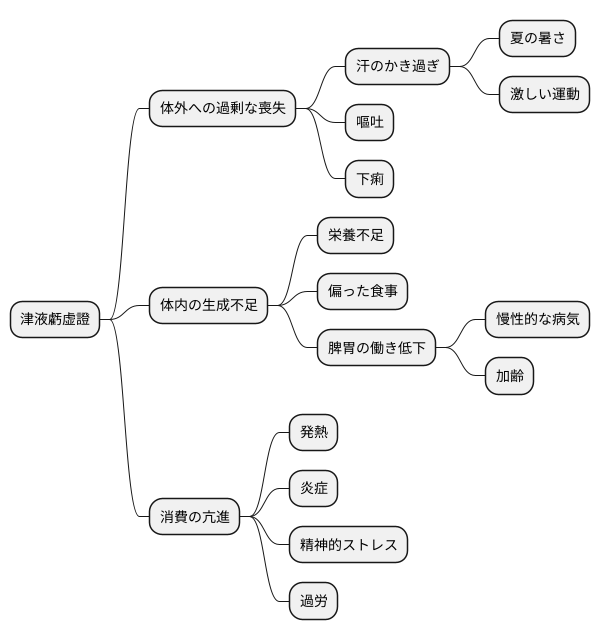 津液虧虚證の原因