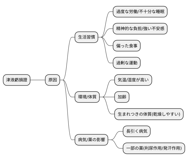 津液虧損證の原因