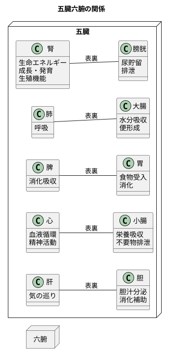 五臓と六腑の関係