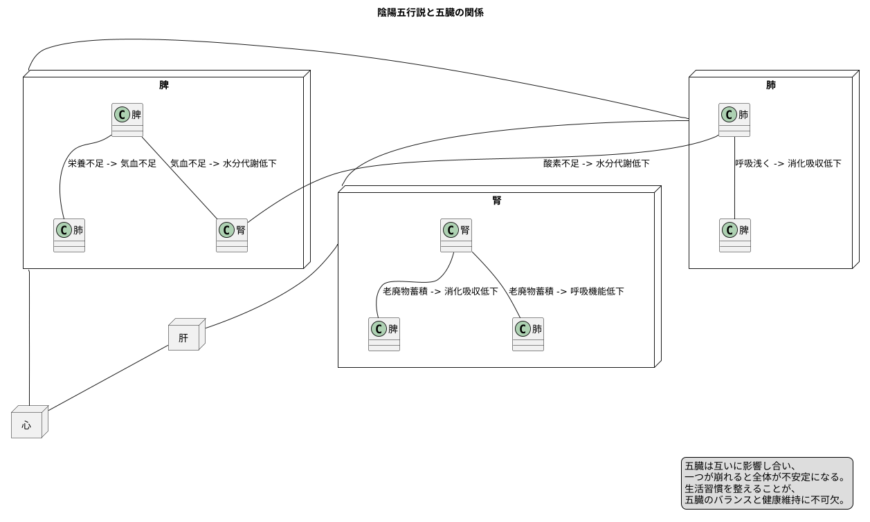 陰臓のバランス