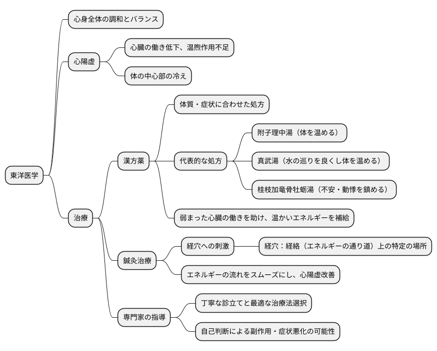 東洋医学的治療