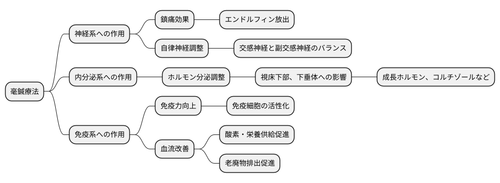 毫鍼の作用機序