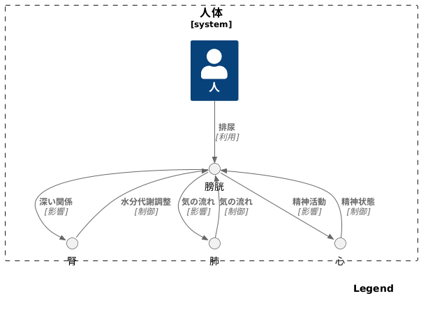 膀胱と他の臓腑との関係