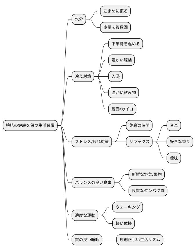 膀胱の健康維持