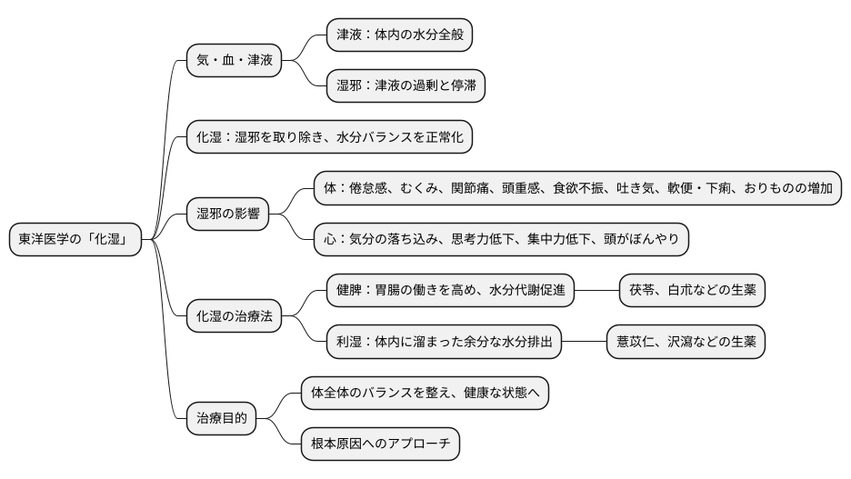 化湿とは何か