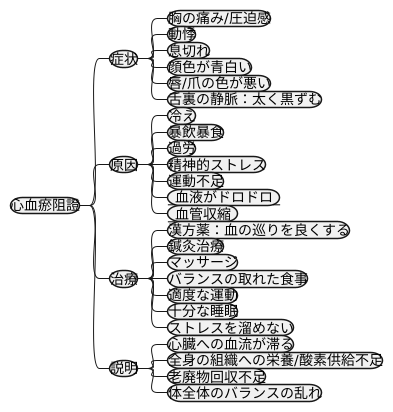心血瘀阻證とは