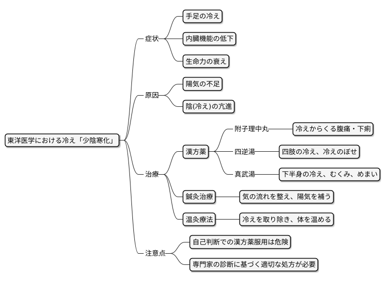 少陰寒化の治療