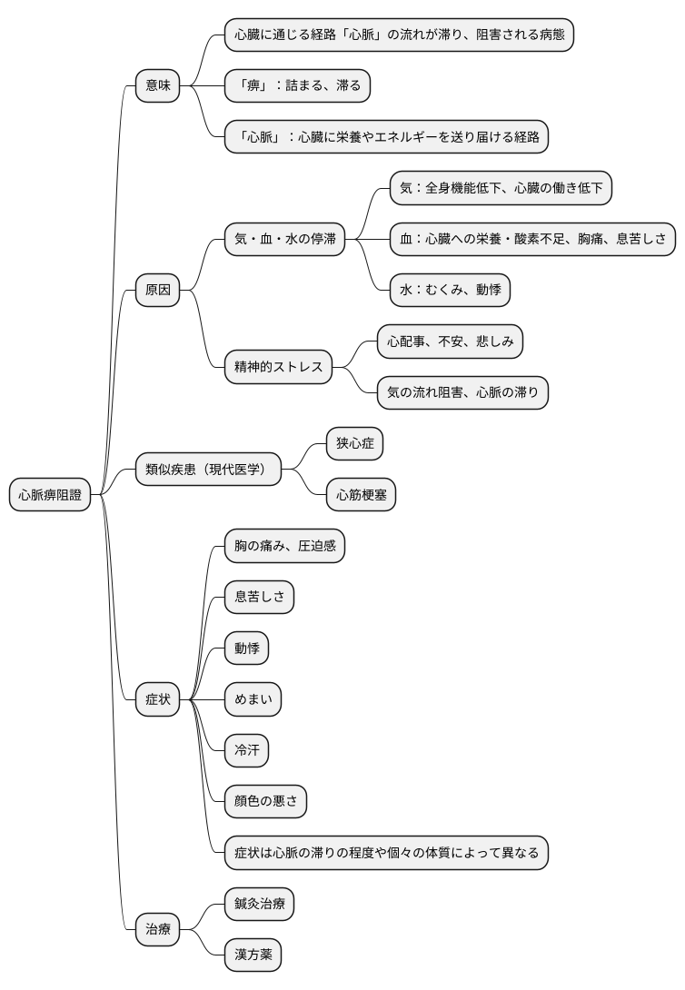 心脈痹阻證とは