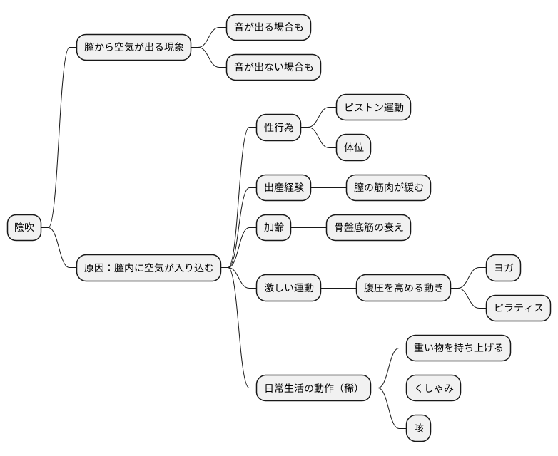 陰吹の主な原因