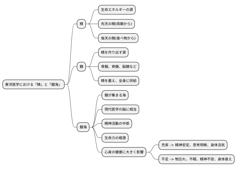 髓海とは何か