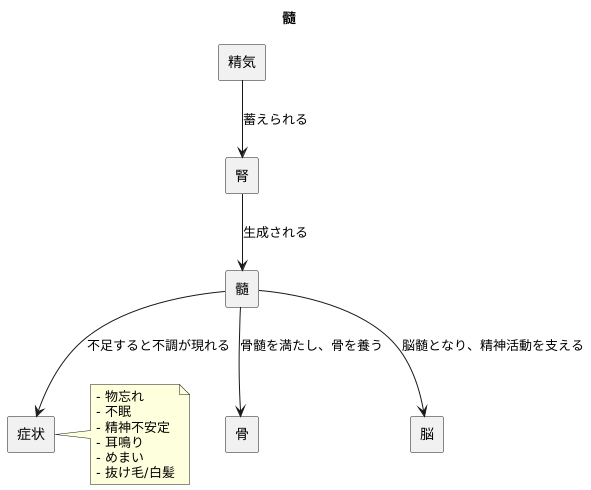 髓の生成と働き