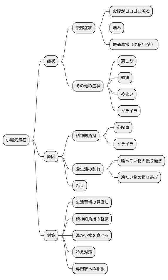 小腸氣滯證とは