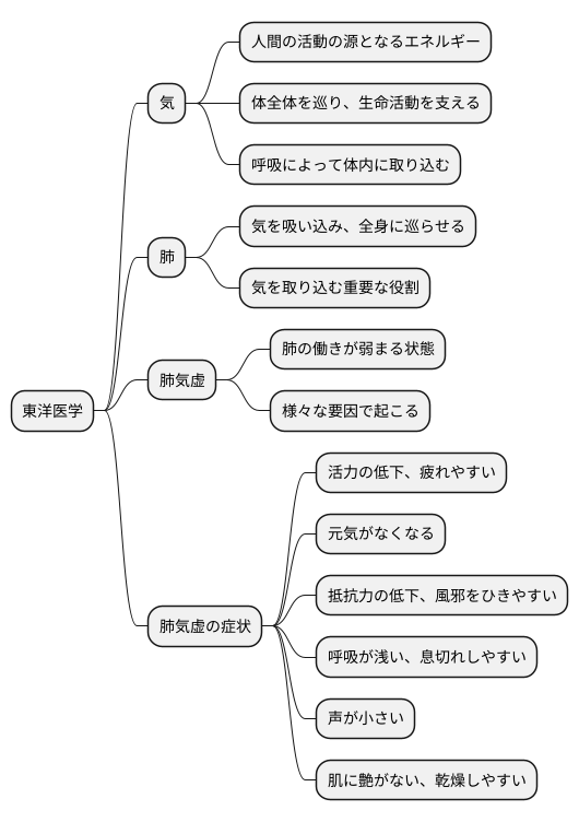肺の元気不足とは
