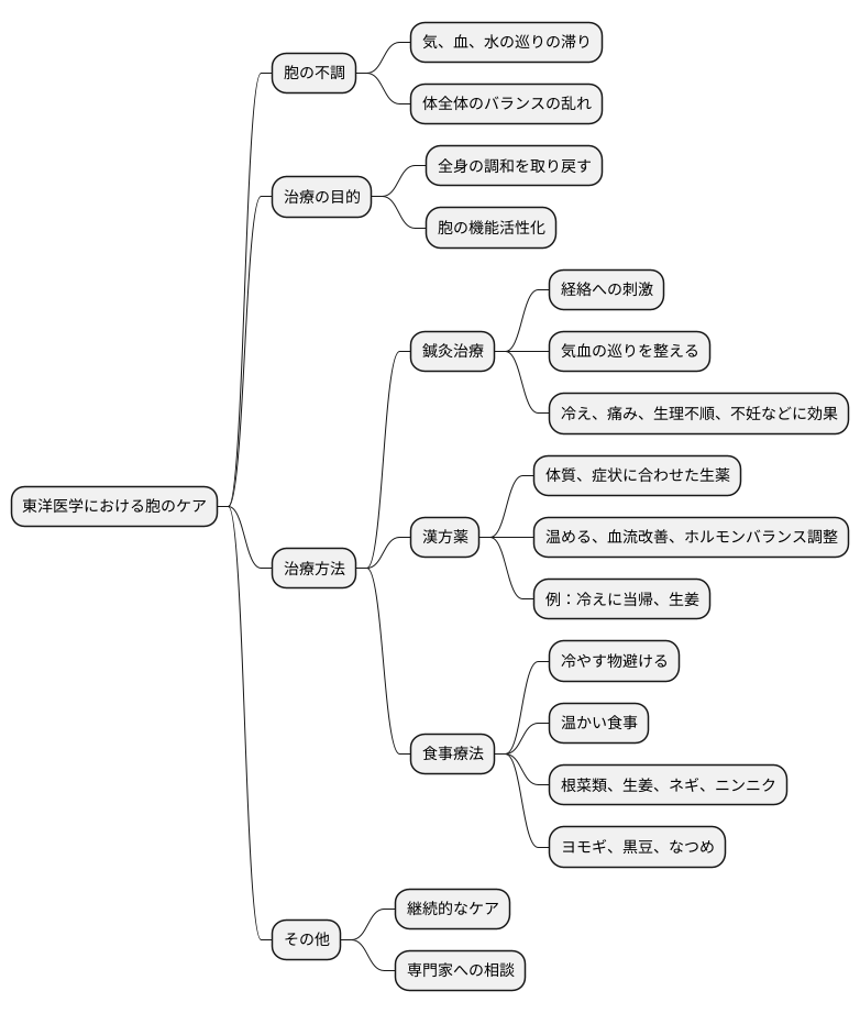 東洋医学における胞のケア