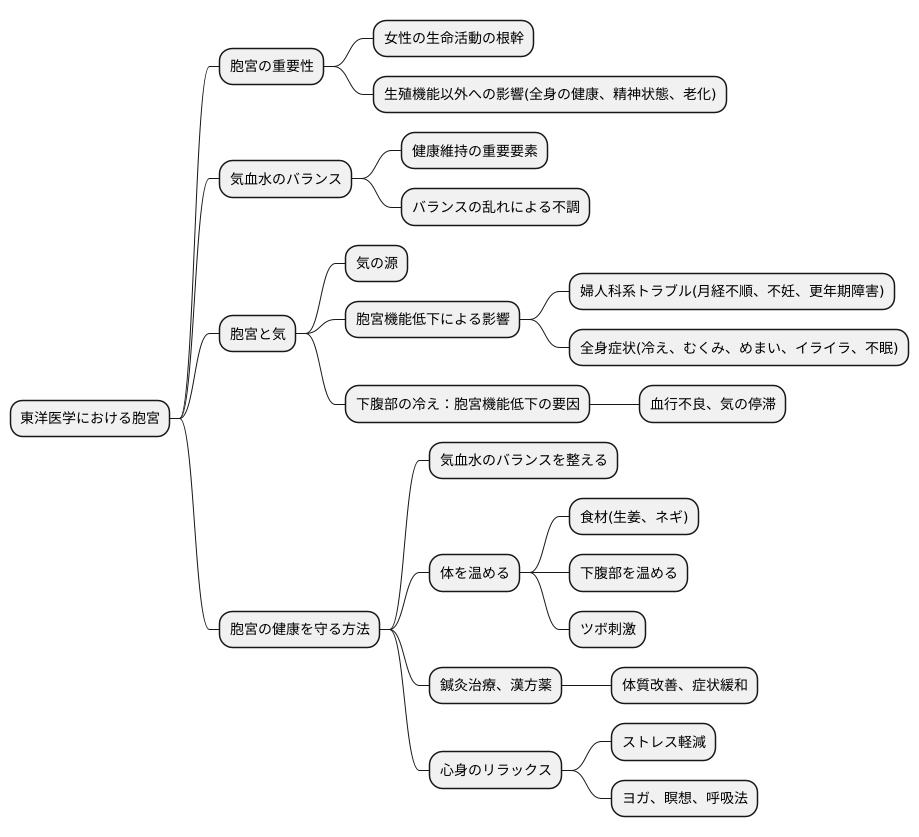 東洋医学における胞宮