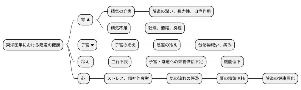 東洋医学から見る陰道