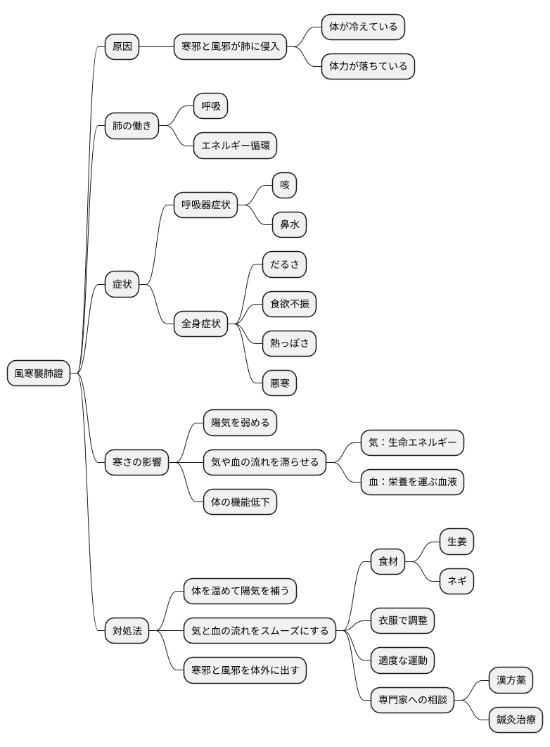 原因とメカニズム