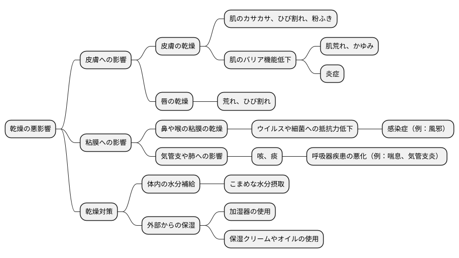 乾燥の影響