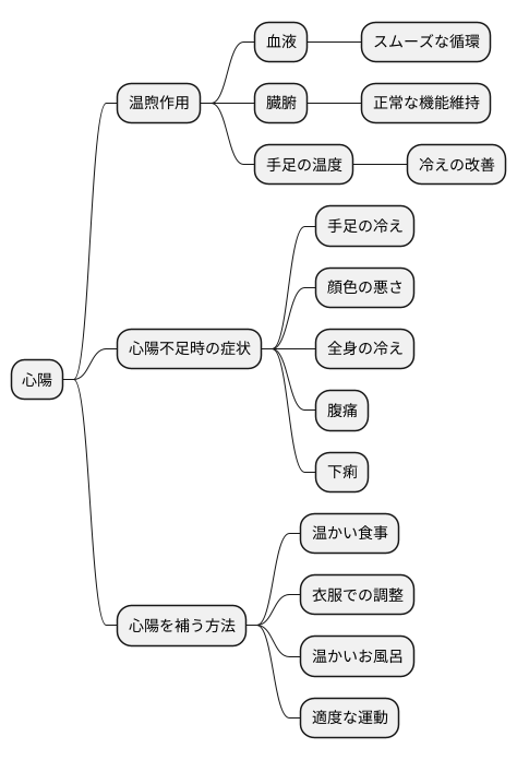 心陽の温煦作用