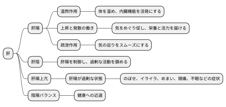 肝陽とは
