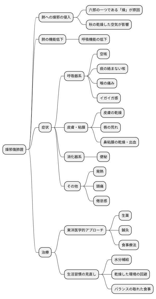 燥邪傷肺證とは
