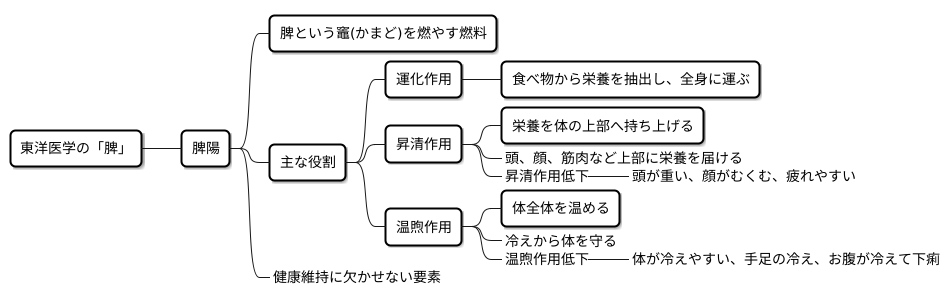 脾陽とは