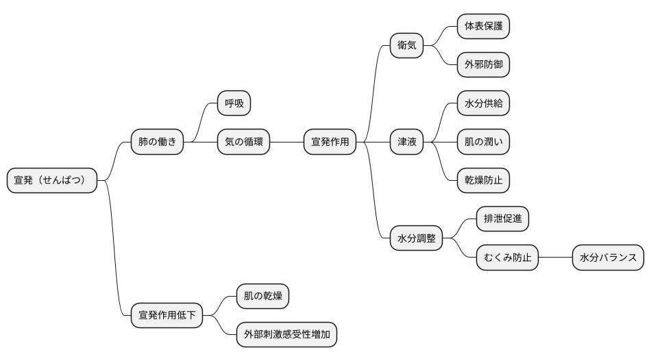 宣発作用
