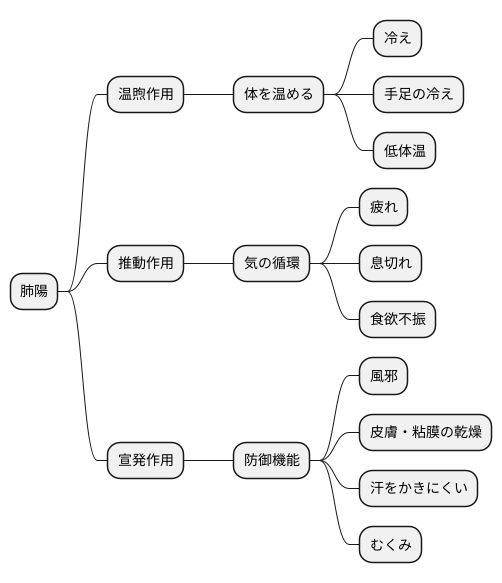 肺陽の不足