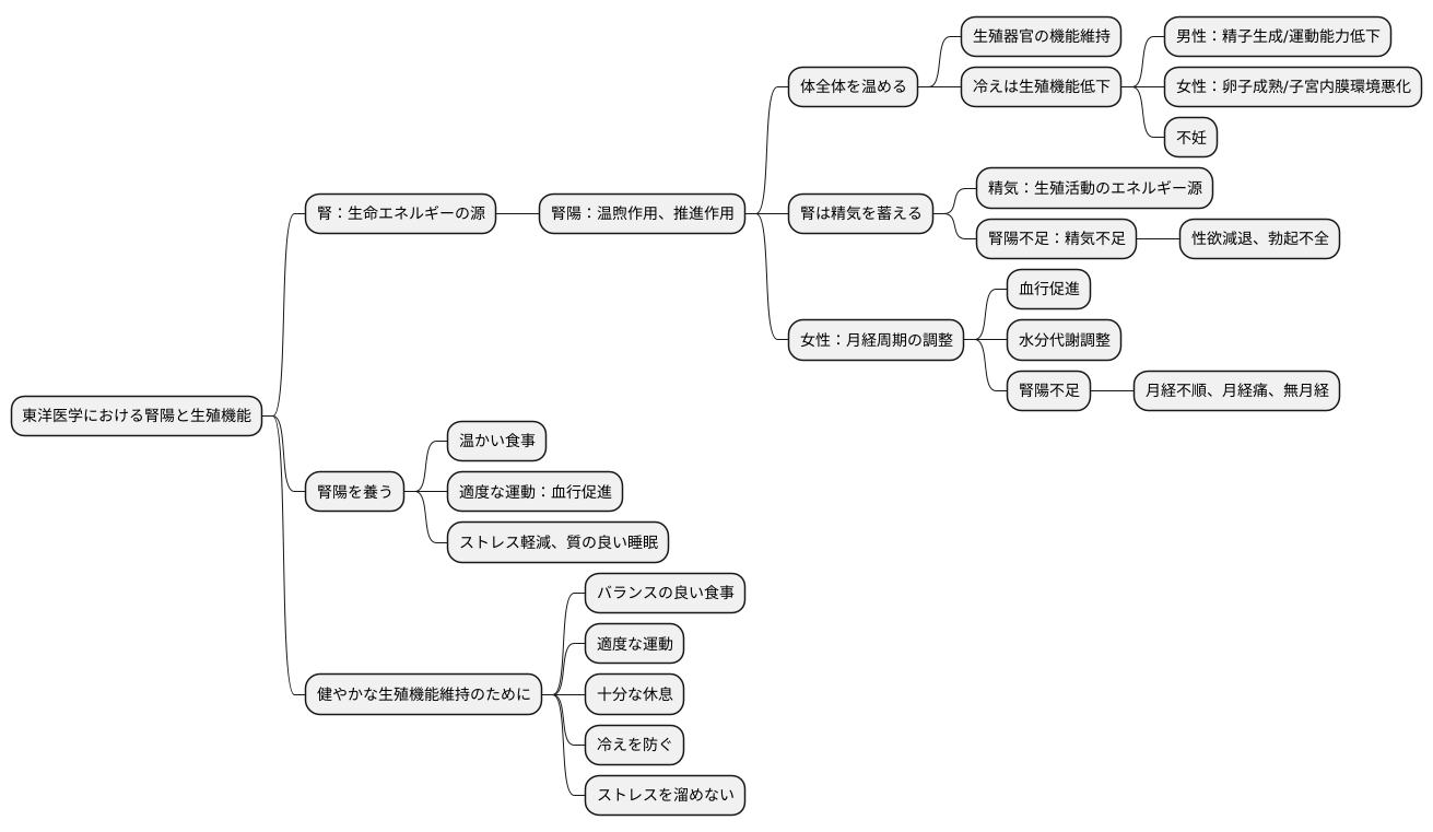 腎陽と生殖機能