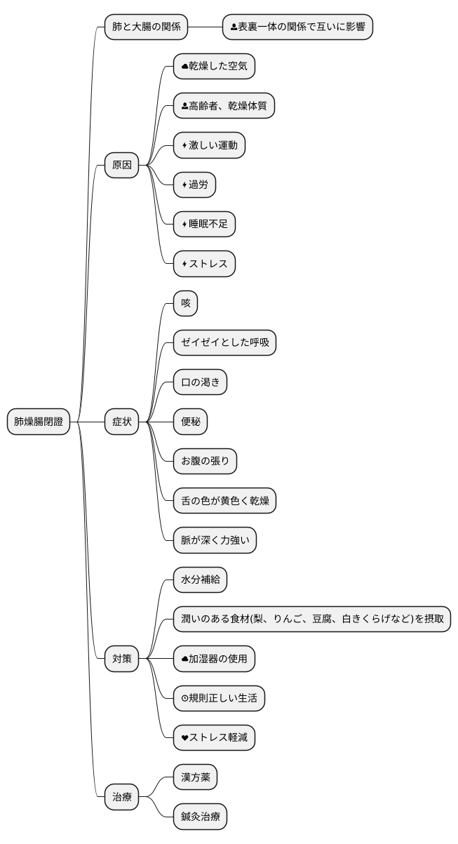 肺燥腸閉證とは