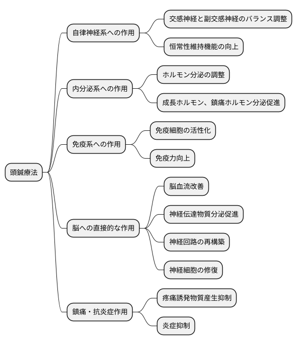 頭鍼療法の作用機序
