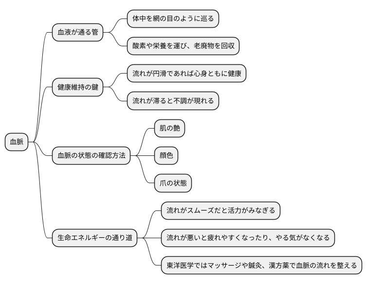 血脈とは何か