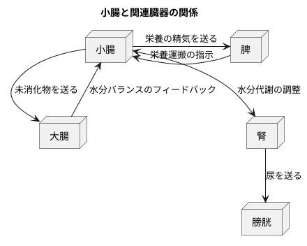 他の臓器との関連
