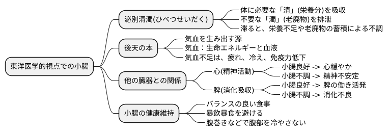 東洋医学的視点の重要性