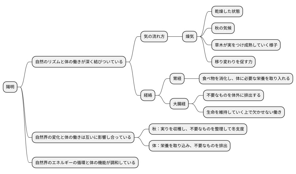 陽明とは