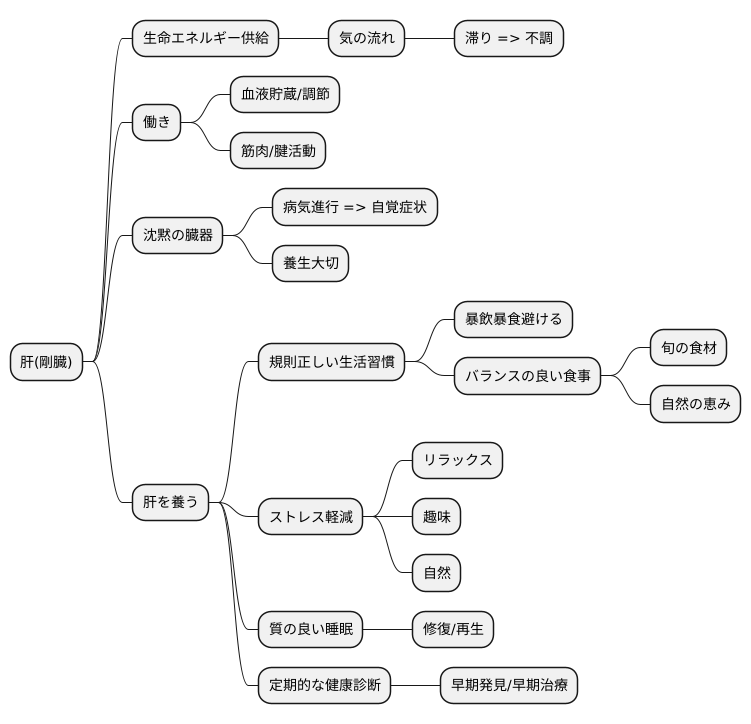 剛臓：肝の持つ力強さ