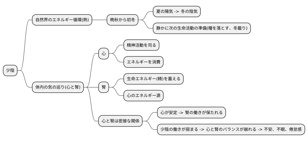 少陰とは何か
