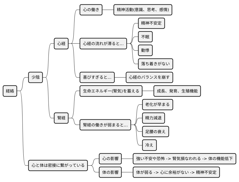 経絡における少陰