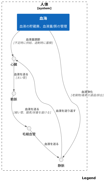 血海と主要な血管