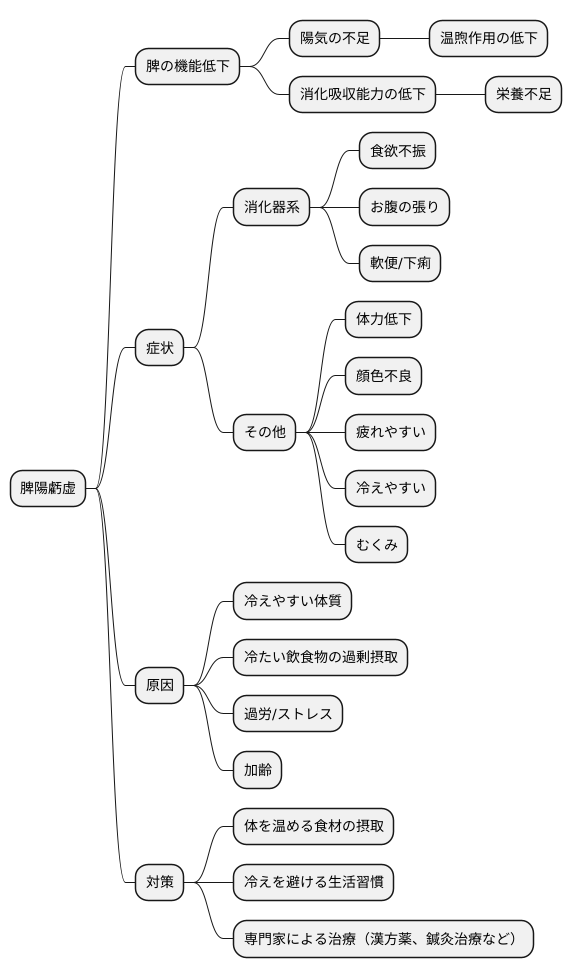 脾陽虧虚とは