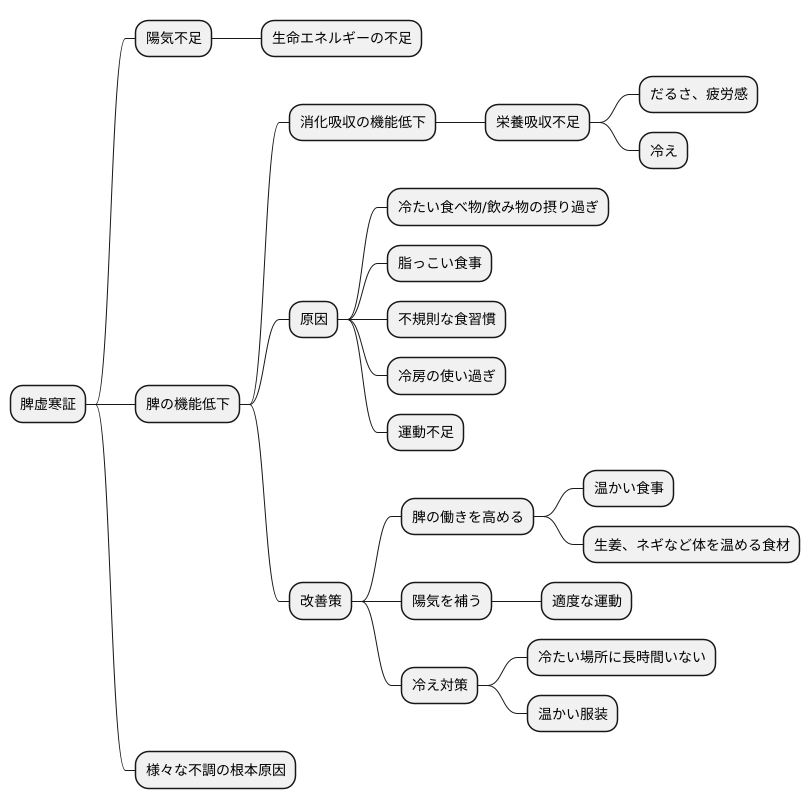 脾虚寒証とは