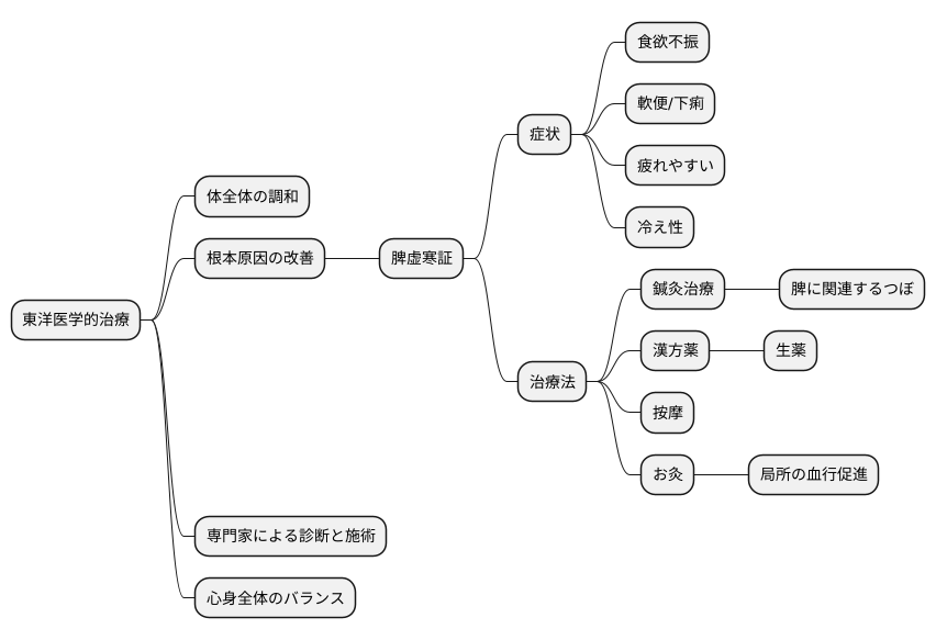東洋医学的治療