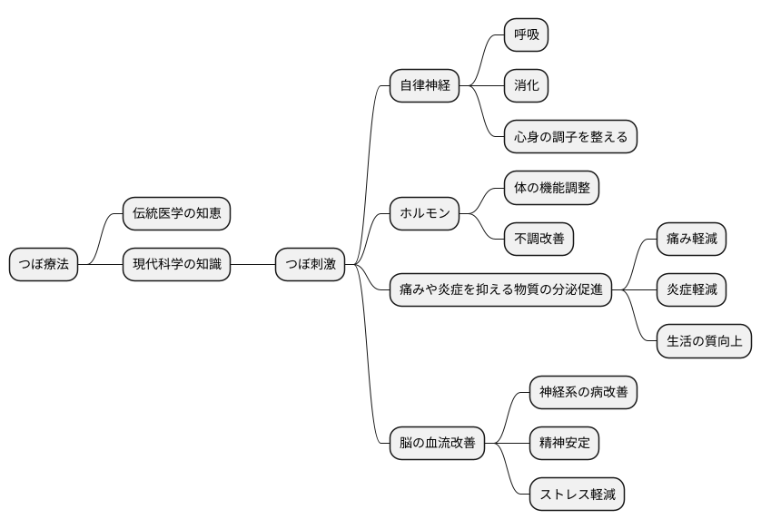 ツボと現代医学
