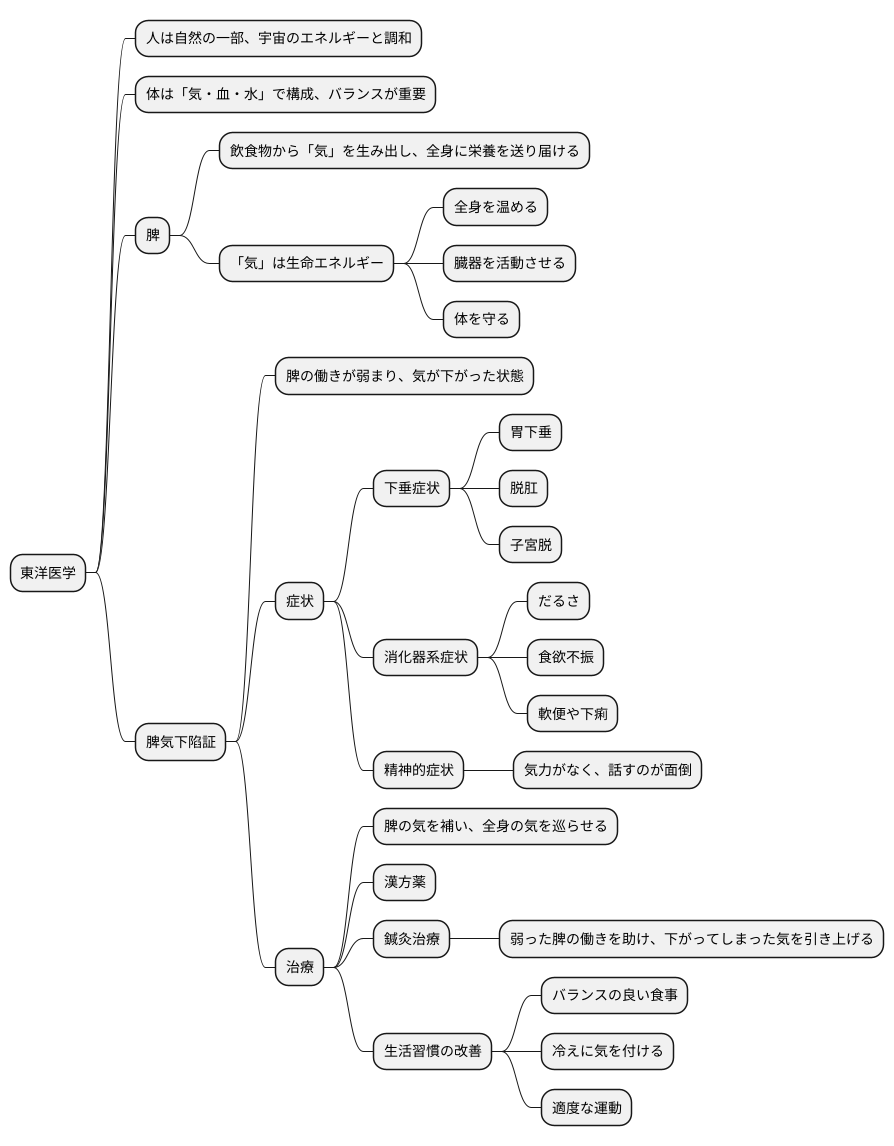 東洋医学的考え方