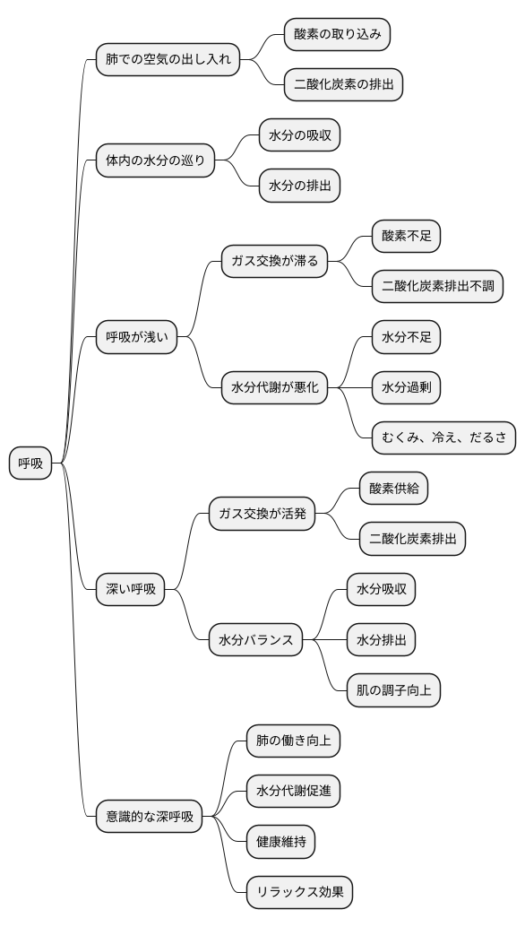 呼吸と水分の関係