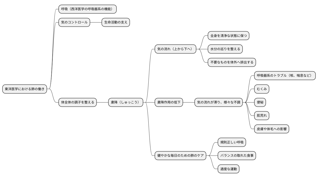 肺の重要な働き