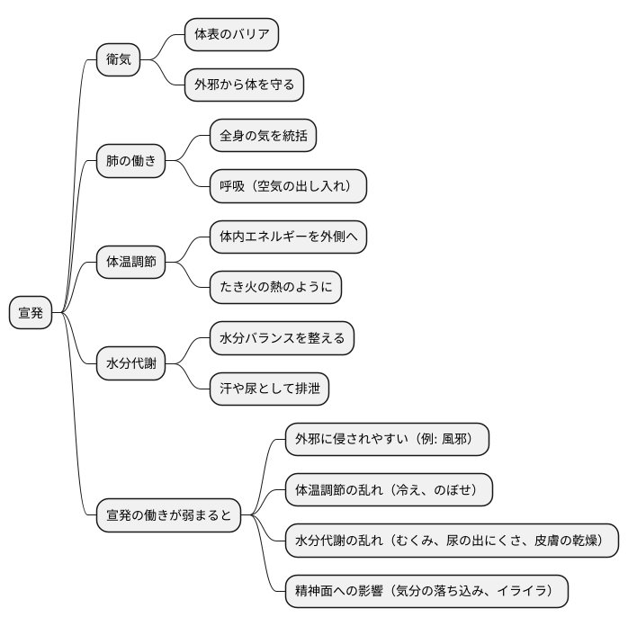 宣発の働き