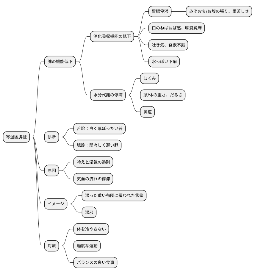 寒湿困脾証の主な症状