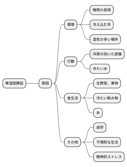 寒湿困脾証の原因